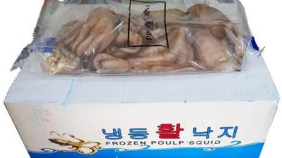 탱글탱글 낙지숙회 맛집탐험! 핵꿀팁 대방출🎁